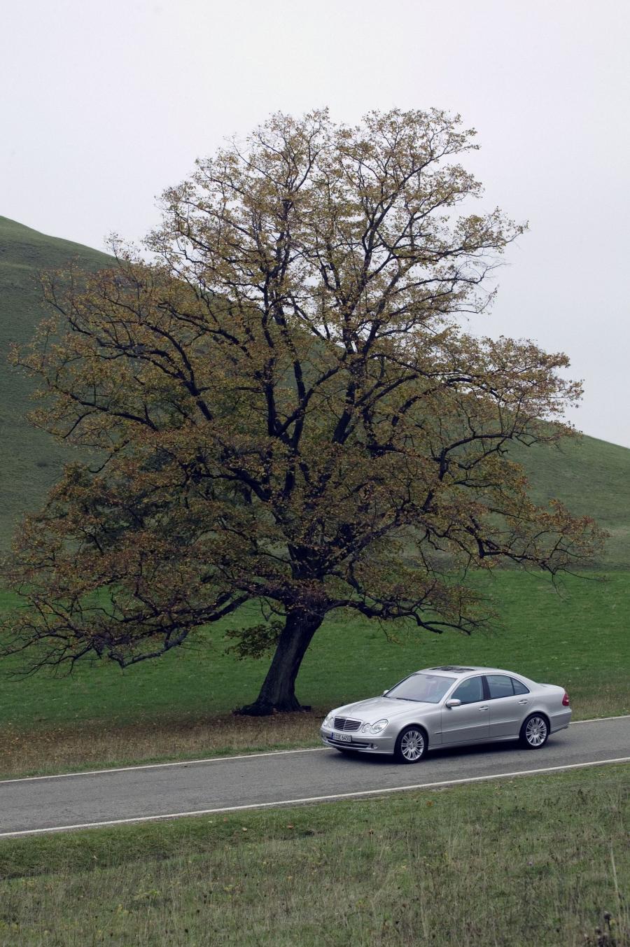  Mercedes-Benz E-Class 2002 года  (фото 66 из 448)